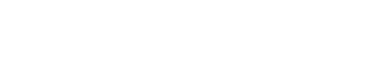 Fusce semper enim non